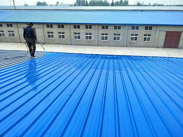 贞丰 彩钢瓦喷漆翻新工业厂房、仓库